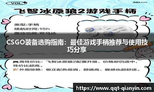 CSGO装备选购指南：最佳游戏手柄推荐与使用技巧分享